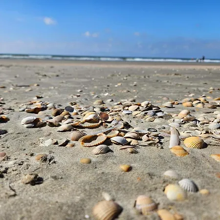 Tranquil Retreat In Romo - By Traum Toftum