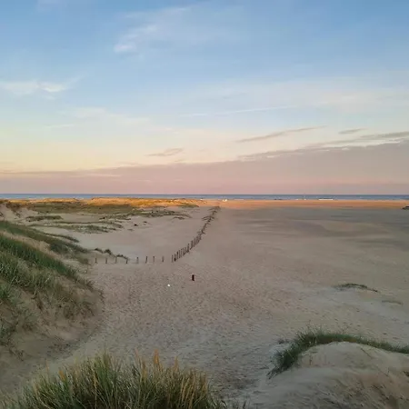 Tranquil Retreat In Romo - By Traum 別荘