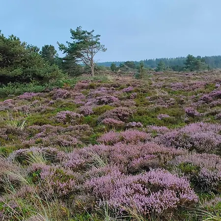 度假居 Tranquil Retreat In Romo - By Traum *