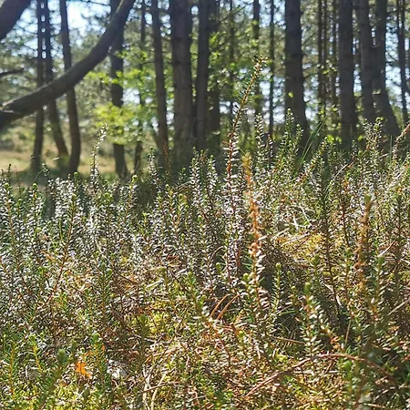 Tranquil Retreat In Romo - By Traum 度假居 *