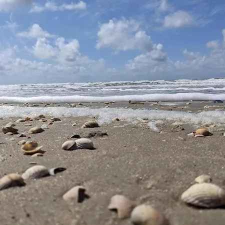 度假居 Tranquil Retreat In Romo - By Traum