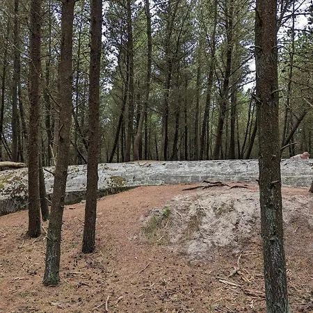 Tranquil Retreat In Romo - By Traum * Toftum (Syddanmark)