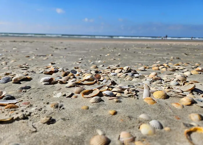 Tranquil Retreat In Romo - By Traum Toftum