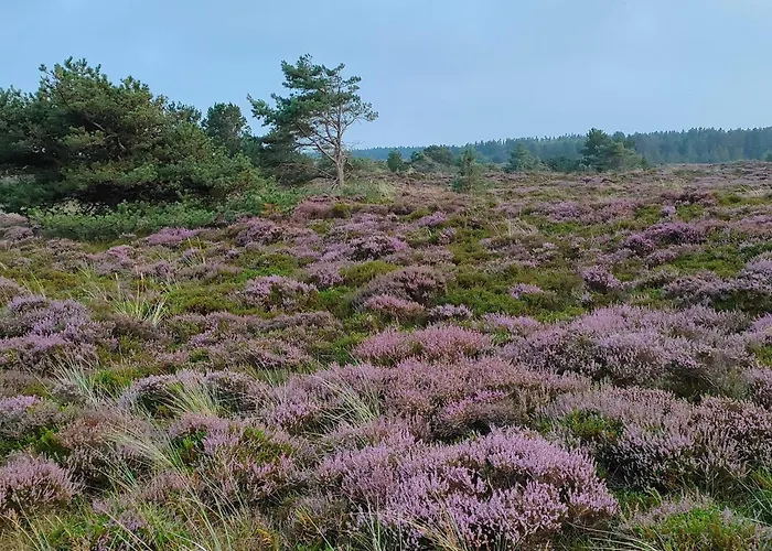 別荘 Tranquil Retreat In Romo - By Traum *