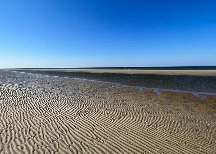 Tranquil Retreat In Romo - By Traum 別荘