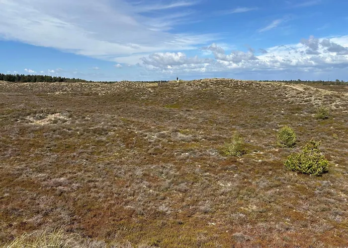 Tranquil Retreat In Romo - By Traum