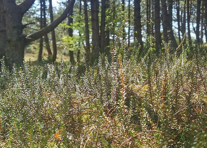 Tranquil Retreat In Romo - By Traum 別荘 *