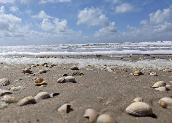 別荘 Tranquil Retreat In Romo - By Traum