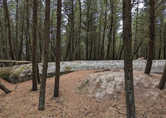 Tranquil Retreat In Romo - By Traum * Toftum