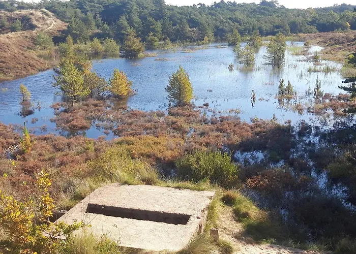 Tranquil Retreat In Romo - By Traum *